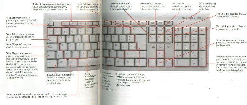 el teclado y sus partes