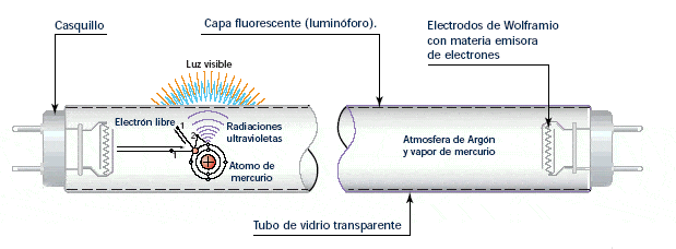 fluorescente