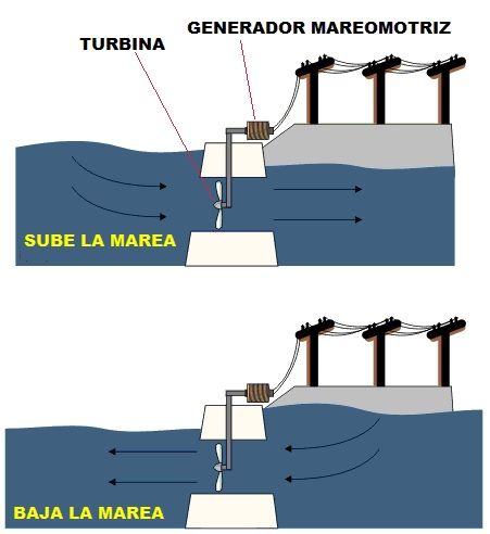 Energia Mareomotriz. Generador, Central Mareomotriz y Tipos