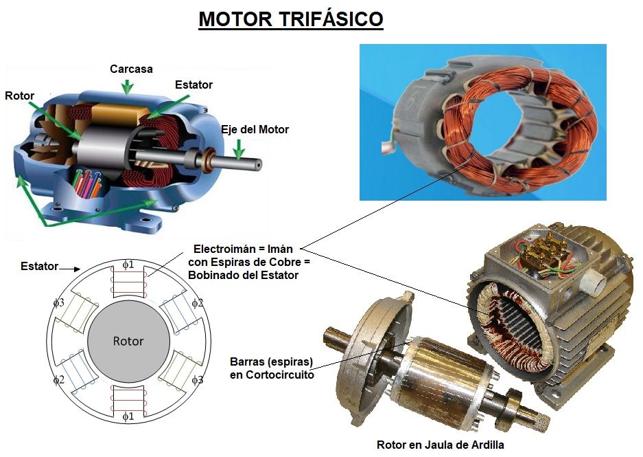 motor trifasico partes