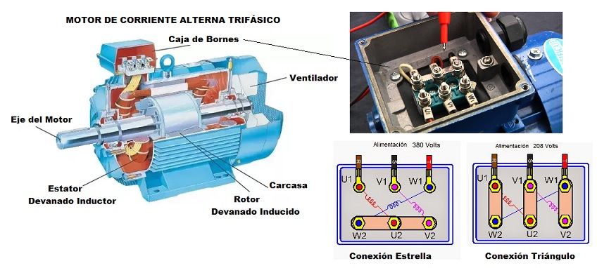 ✓ Utiliza un motor trifásico en una red domestica 220V con un variador.