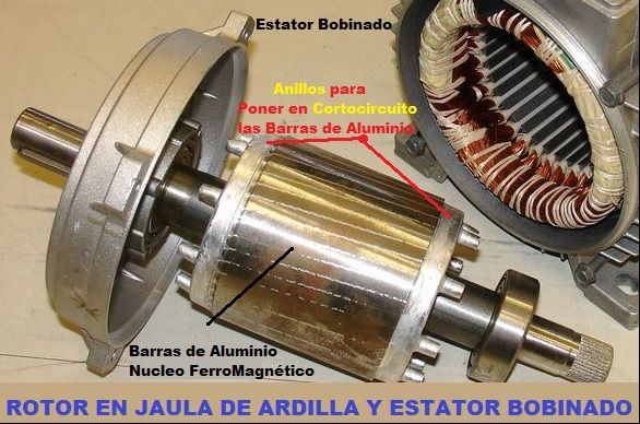 rotor jaula de ardilla