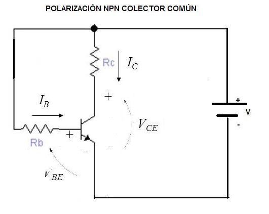 npn polarizacion