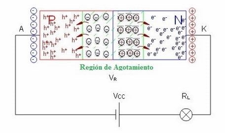 polarizacion inversa pn