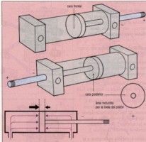 cilindros neumaticos