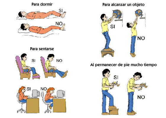 Incesante Implementar Depresión Ergonomia Definición Objetivo Ejemplos y Tipos