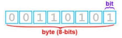 bit y byte