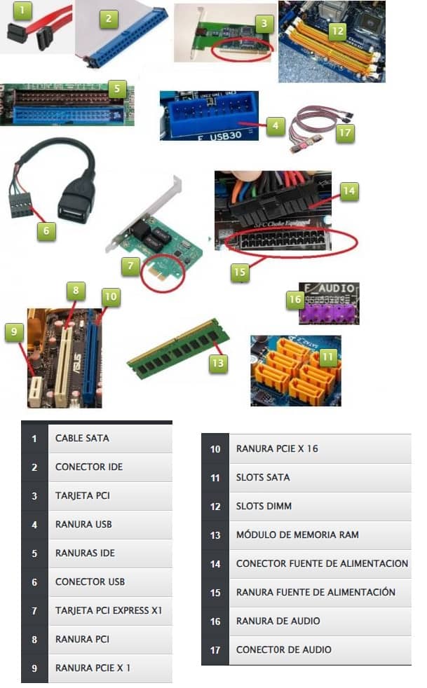 coectores, ranuras y cables en la placa base