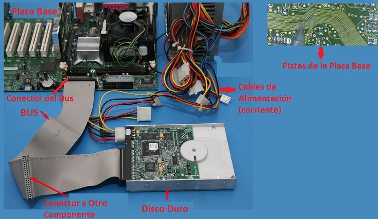 Cable de Bus y Tipos de Buses