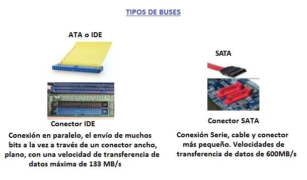 tipos de buses