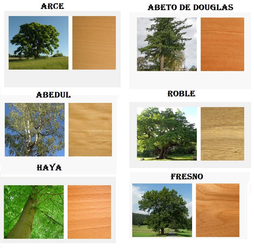 tipos de madera